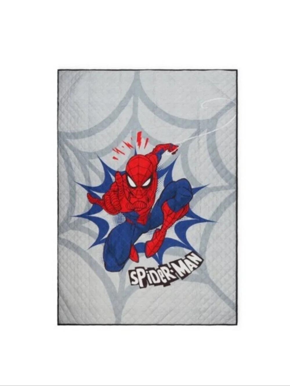 Spider-Man Twin Quilt Set